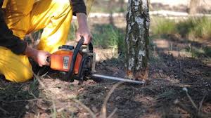 Best Aeration Services  in Croydon, PA